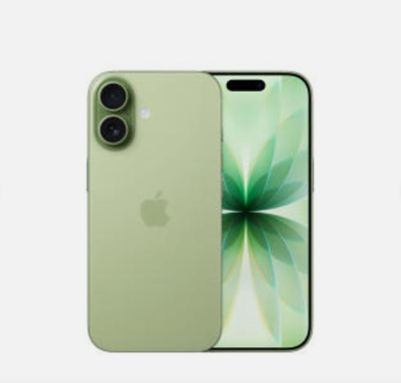 애플 아이폰 17 자급제 256GB, 세이지