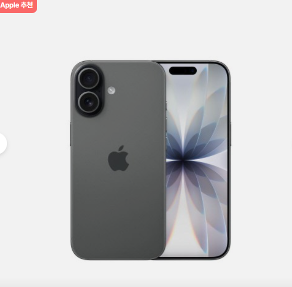 애플 아이폰 17 자급제 512GB, 블랙